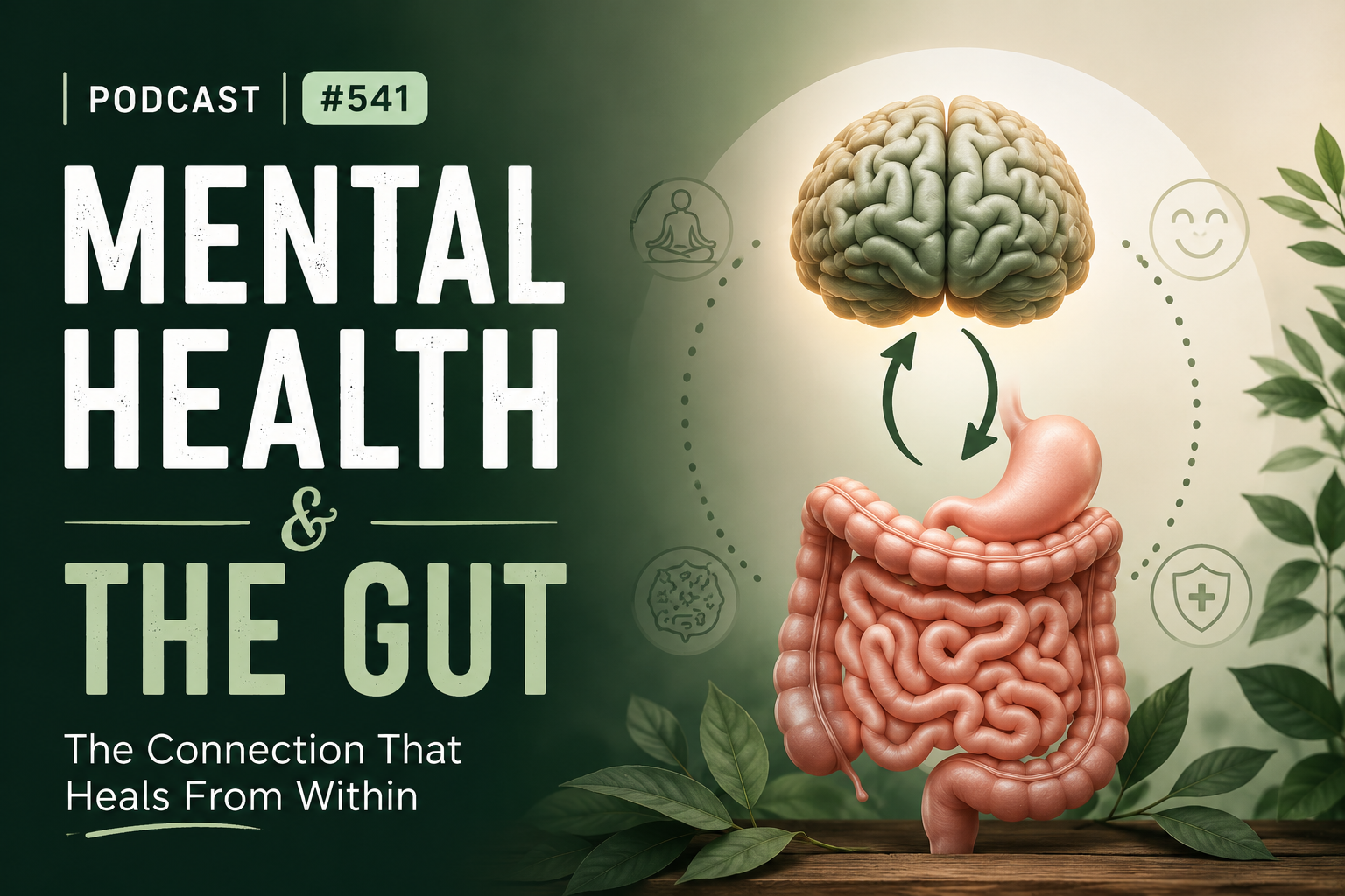 Podcast #541 Mental Health & the Gut